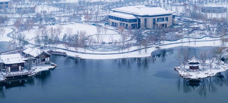 雄安国际酒店图片