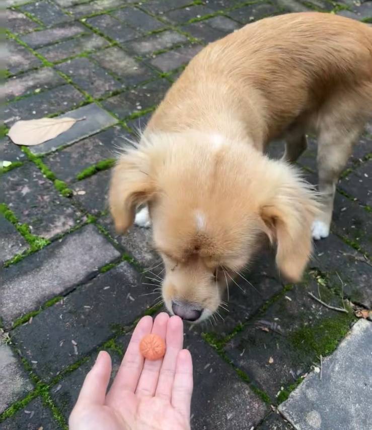 清镇引舍故里康养度假民宿(红枫湖景区店)图片