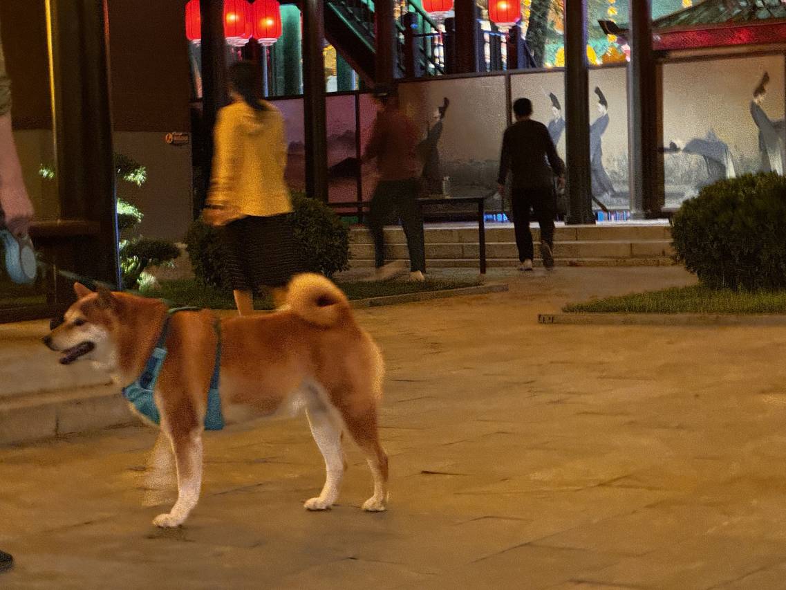 花筑·盛景民宿(大宋不夜城店)图片