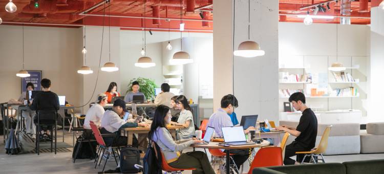 Local Stitch Creator Town 西桥洞(Local Stitch Creator Town Seogyo)图片