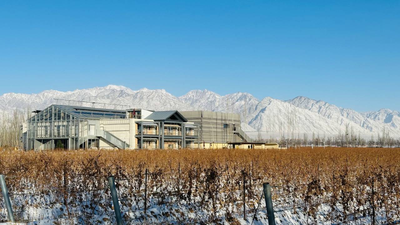 大乐之野·夏多兰酒庄(银川店)图片