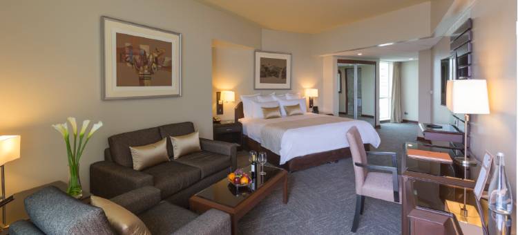 海豚会议中心酒店(Delfines Hotel & Convention Center)图片