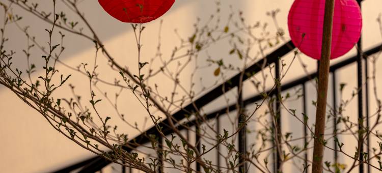 长安舒适之家(Trang An Cozy House)图片