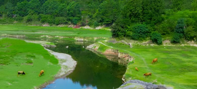 婺源篁岭晒秋·晓山青民宿图片