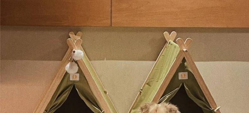 野隐·山居民宿(九寨沟风景区游客中心打卡点店)图片