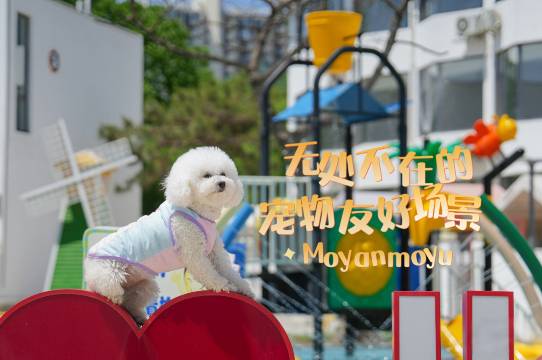 莫言莫语海景酒店(南戴河仙螺岛度假区店)图片