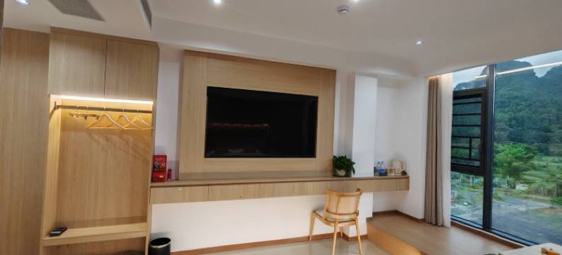 大新望南越舍民宿图片