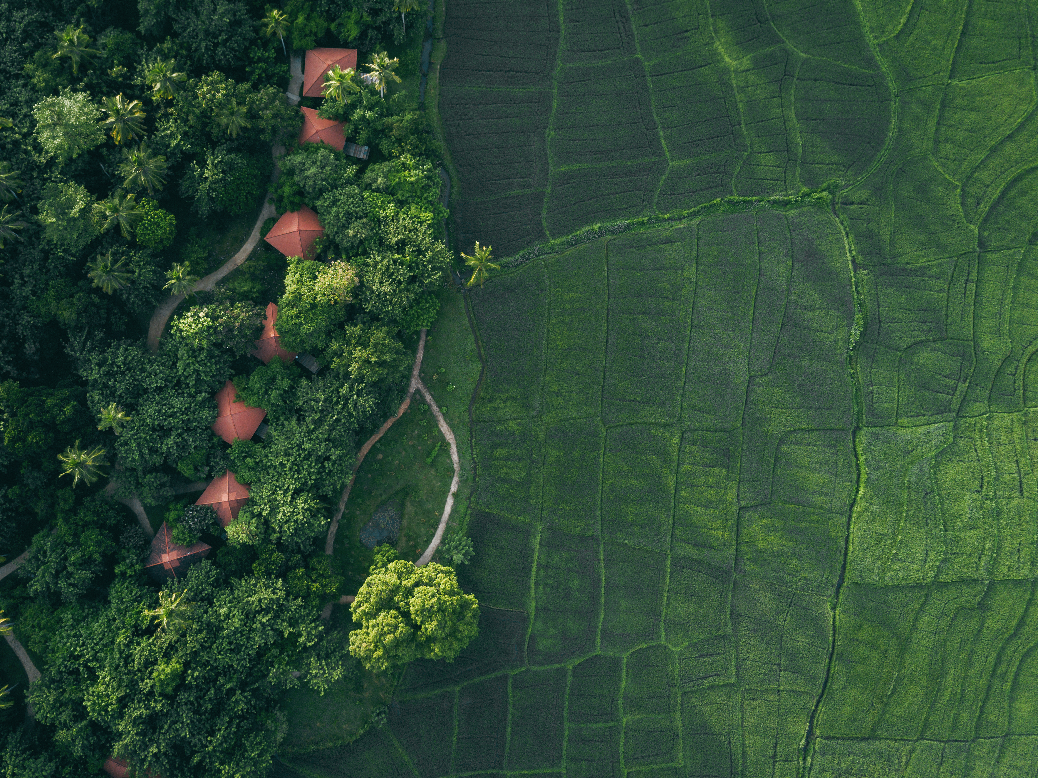 Jetwing Kaduruketha Over view