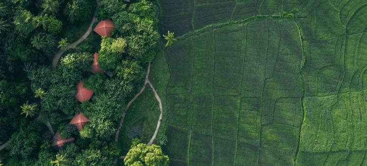 杰特威·卡杜鲁秘境(Jetwing Kaduruketha)图片