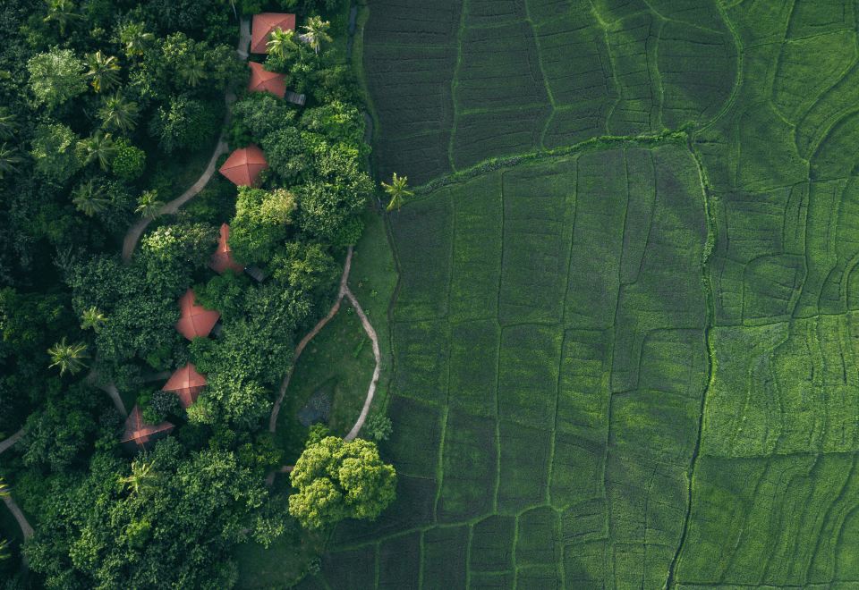 Jetwing Kaduruketha Hotel Overview