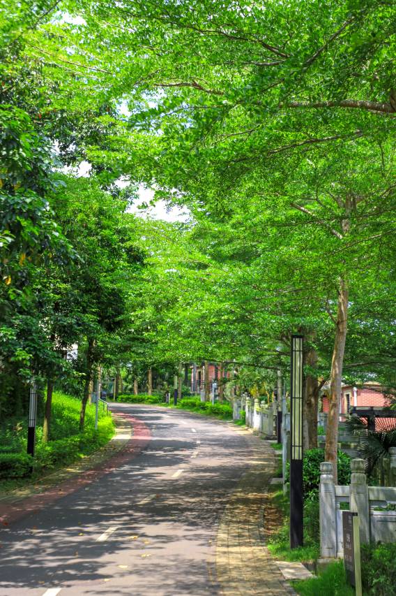 琼中福朋喜来登酒店图片