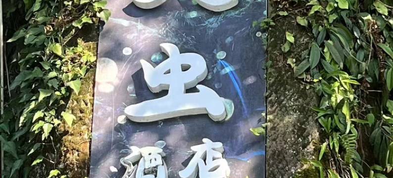 天台山萤火虫民宿图片