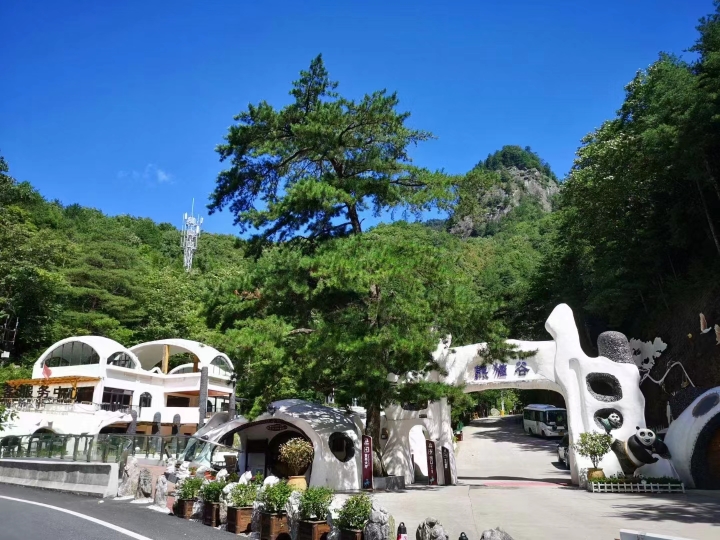 Panda Forest Hotel Over view