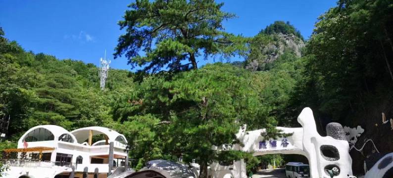 佛坪熊猫森林酒店图片