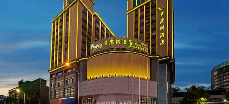 青皮树酒店(岳阳楼步行街店)图片
