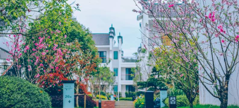 婺源探花·森氧秘境酒店图片