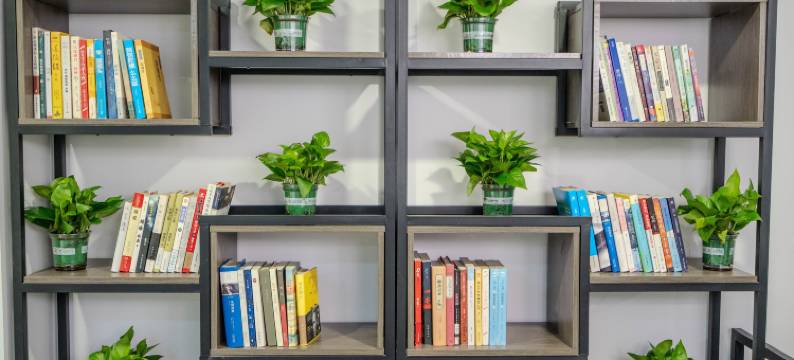 蜜橙青年旅社(成都动物园店)图片