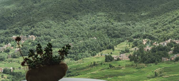 元阳生田·醒空｜多依树全景日出梯田观景民宿图片