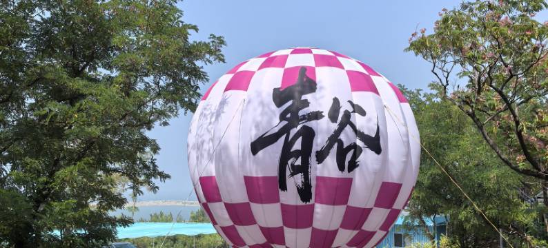 青谷度假酒店图片