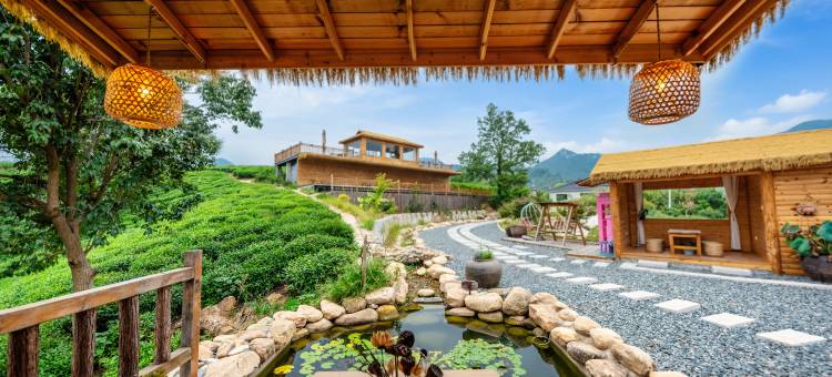 信阳茶花开咖啡民宿(文新茶村店)图片
