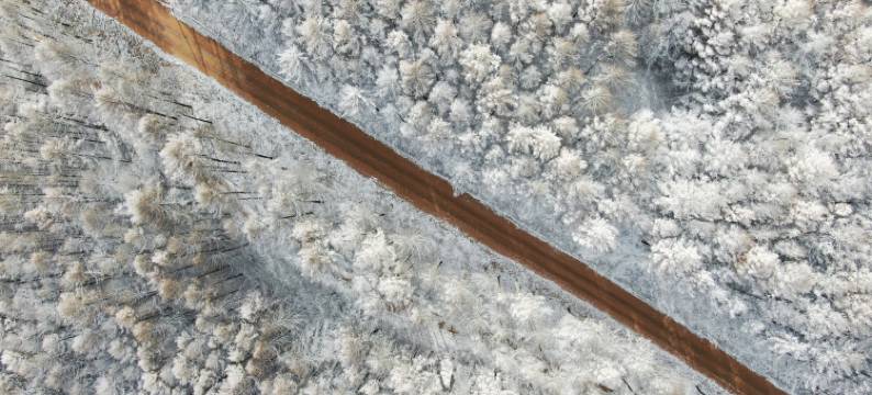 张家口崇礼曼松林民宿图片