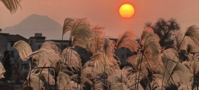 常山天曼国际酒店图片