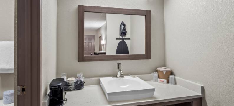 安阿伯 - 密歇根大学南红屋顶酒店(Red Roof Inn Ann Arbor - U of Michigan South)图片