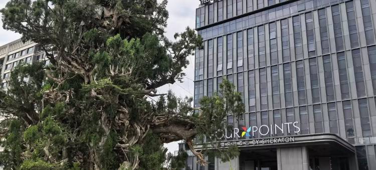 淄博淄川福朋喜来登酒店图片