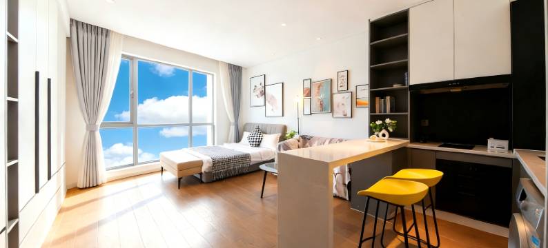 斯维登精品公寓(洛阳万达广场牡丹广场地铁站店)图片