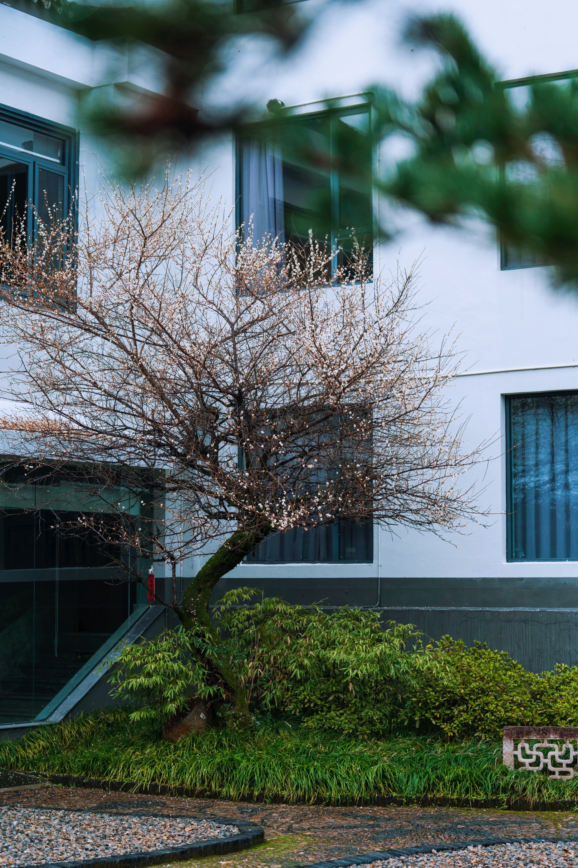 The Lucid Resort Tiantai Hotel Overview