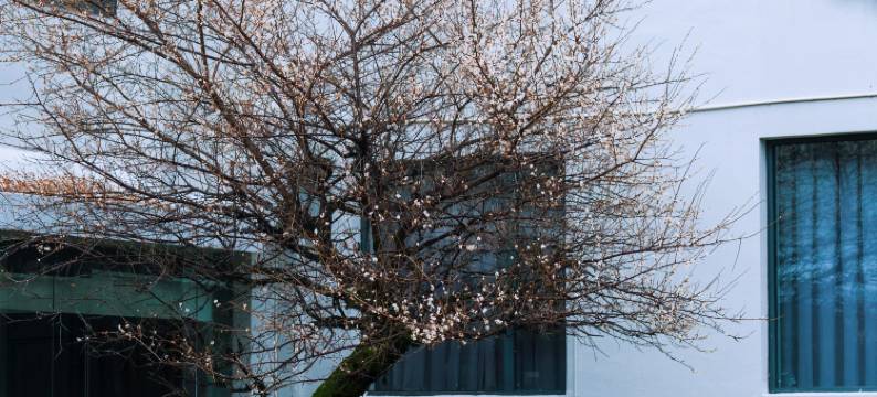 庐境天台度假酒店图片