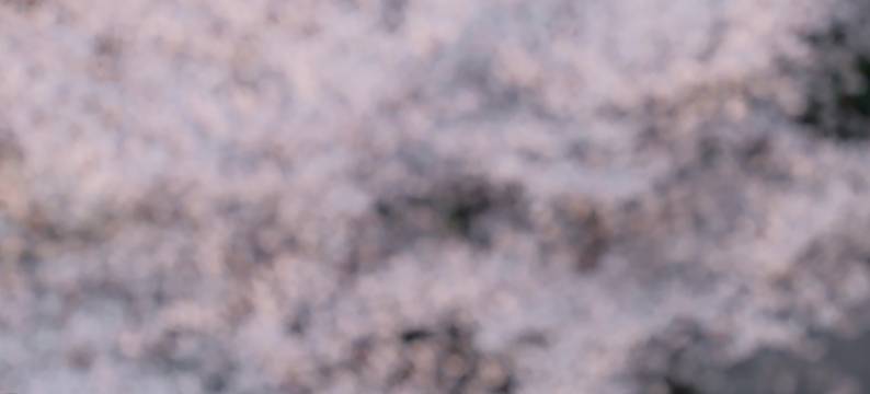 AMIX安迷酒店(黄鹤楼长江大桥店)图片