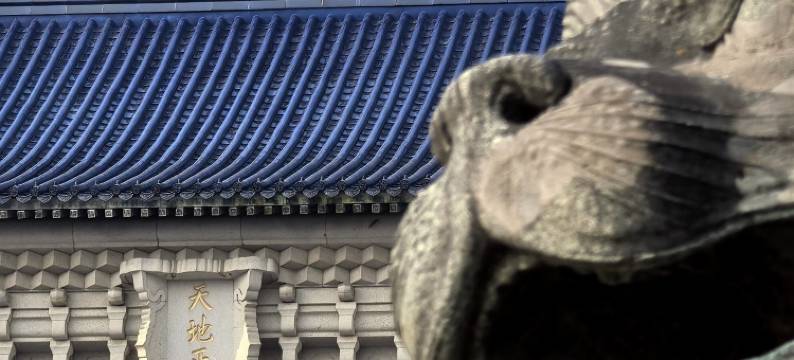 南京仙林中心金鹰广场亚朵酒店图片