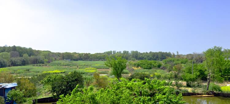无锡半亩方塘客栈(灵山大佛拈花湾景区店)图片