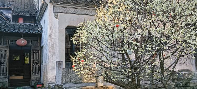 花筑·黄山书香贡元里(呈坎店)图片