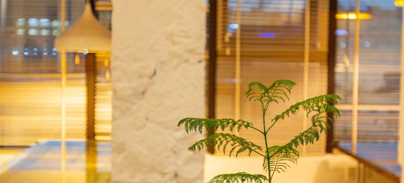 温州海天左舍民宿图片