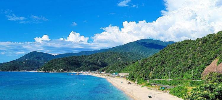 东横INN-敦贺站前(Toyoko Inn Tsuruga Ekimae)图片