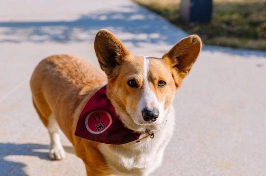 西塘一朝一夕·花园度假设计师民宿(西塘古镇景区店)图片