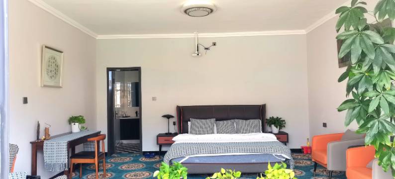 乌鲁木齐燕园民宿图片