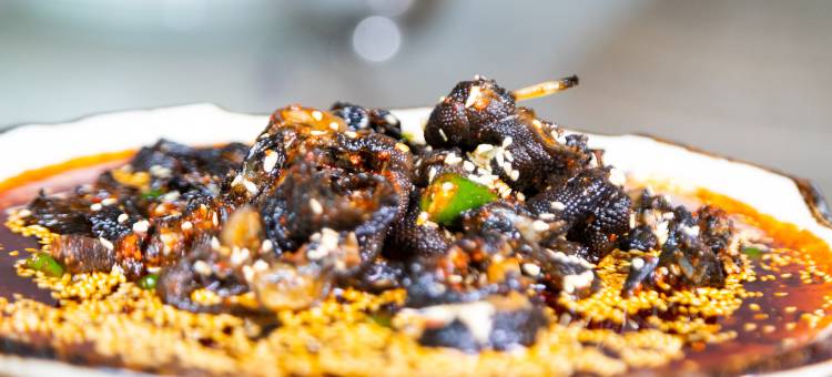 地球村度假区美墅木屋图片