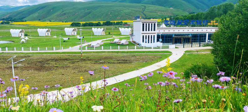 惠远星空民宿图片