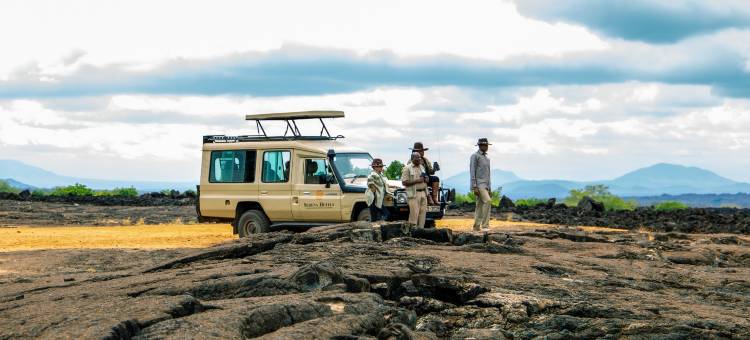 凯丽古娜斯瑞娜狩猎山林小屋(Kilaguni Serena Safari Lodge)图片