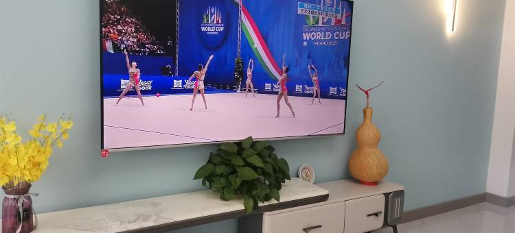 凌海三只猫民宿图片