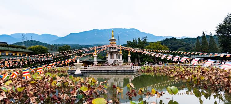 花筑·山水谈民宿(庐山东林寺店)图片