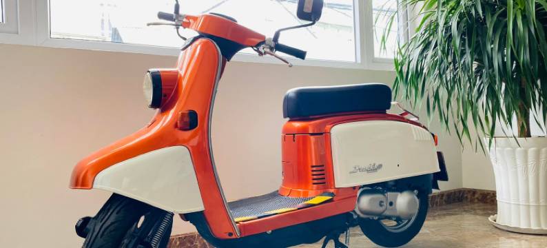 大叻-安芳酒店(Anh Phuong Hotel Da Lat)图片