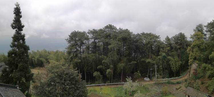 永川春竹山庄(茶山竹海店)图片