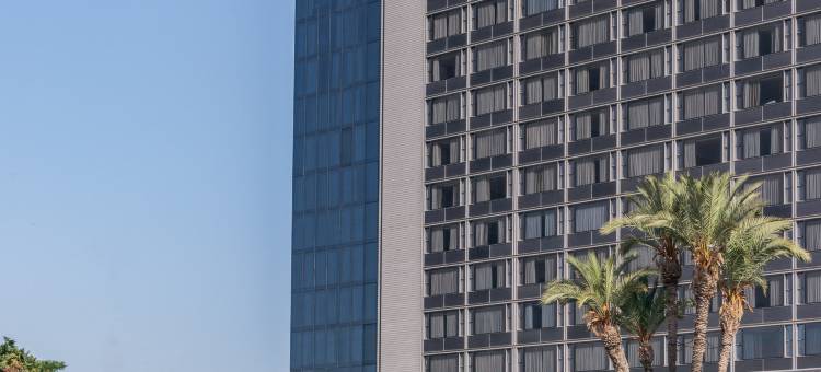 梅利娜塔，格兰美利亚酒店(Torre Melina, a Gran Meliá Hotel)图片