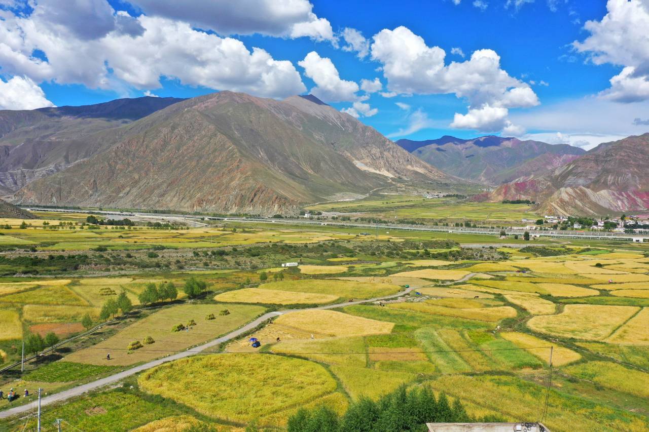 拉萨市堆龙德庆区措麦金贝壳民宿