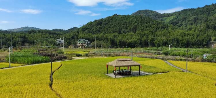 从化吕田小桥人家民宿图片
