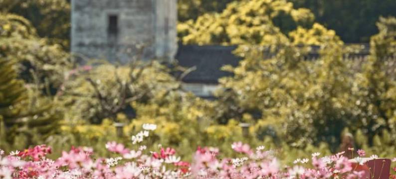 深圳观澜湖度假酒店图片